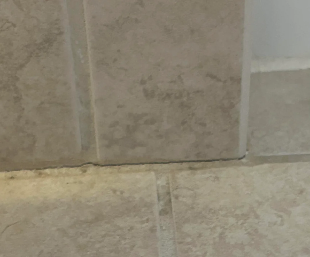 Cracked Grout Lines - Seal Gaps Before Moisture Enters