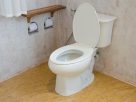 Toilet Tank Leaks - Stop Silent Water Waste Fast