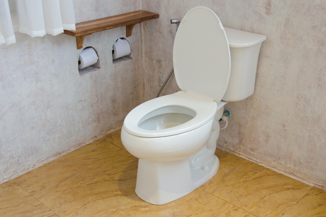 Toilet Tank Leaks - Stop Silent Water Waste Fast